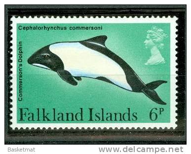 FALKLAND ISLAND BALEINE - Wale