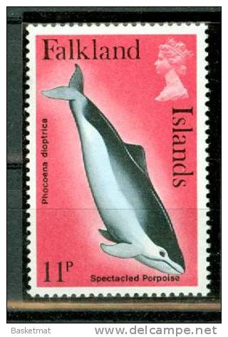 FALKLAND ISLAND BALEINE - Wale