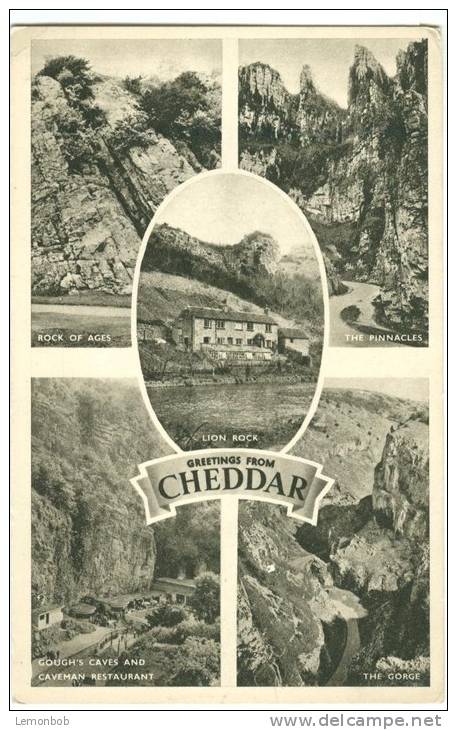 UK, United Kingdom, Greetings From Cheddar, Old Unused Postcard [P7644] - Cheddar