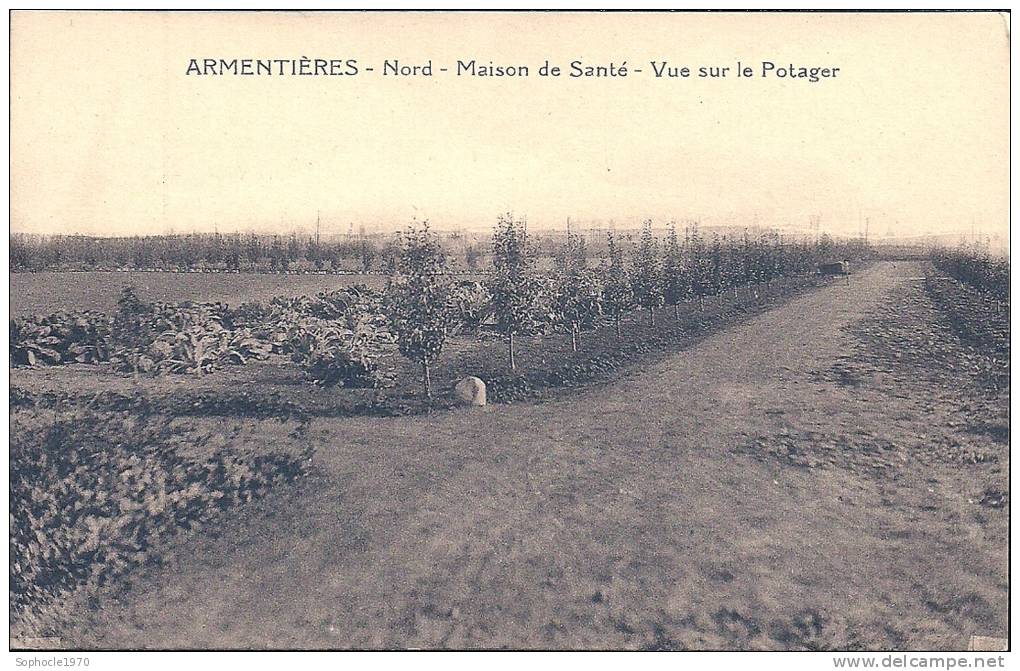 NORD PAS DE CALAIS - ARMENTIERES - Maison De Santé - Vue Sur Le Potager - Armentieres