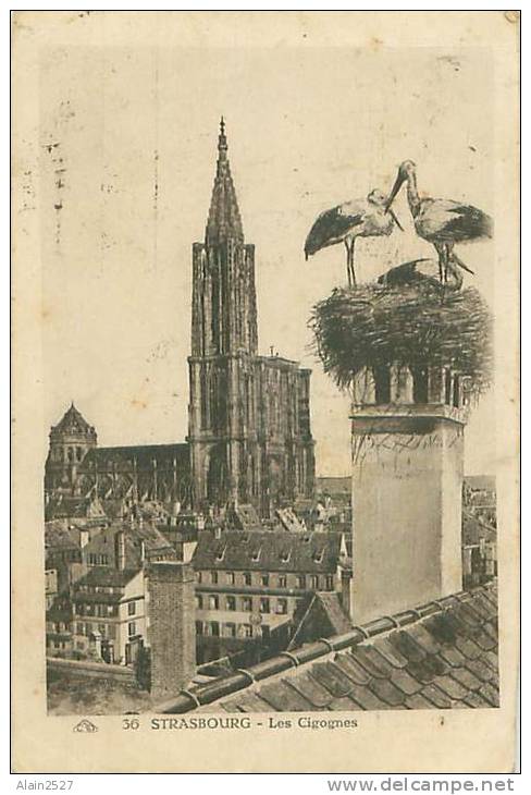 67 - STRASBOURG - Les Cigognes (CAP. 36) - Strasbourg