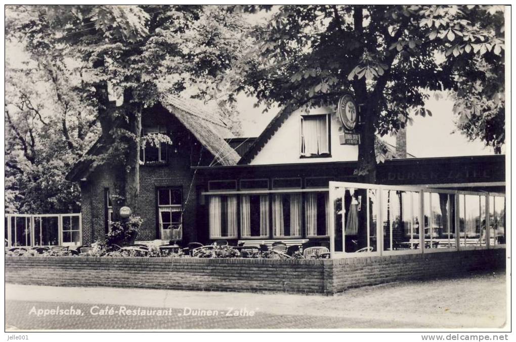 Appelscha Ooststellingwerf Café-Restaurant "Duinen-Zathe" - Sonstige & Ohne Zuordnung