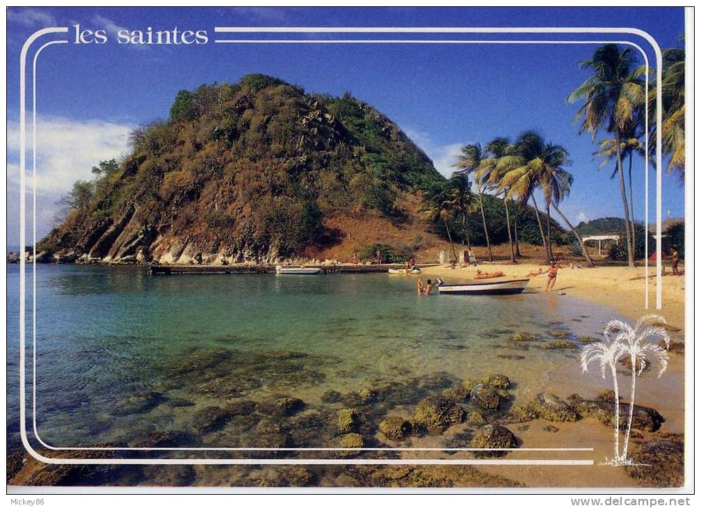 Guadeloupe--LES SAINTES (petite Animation)--cpm N° AG  58  éd Photoguy - Autres & Non Classés