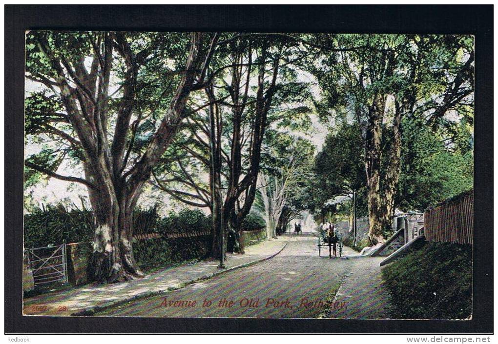 RB 782 - 1906 Postcard - Horse &amp; Cart  - Avenue To The Old Park Rothesay Isle Of Bute Scotland - Bute