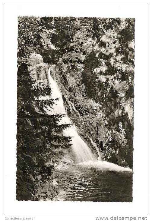 Cp, Allemagne, Allerheiligen, Nördl. Hochschwarzwald, Wasserfälle - Oppenau