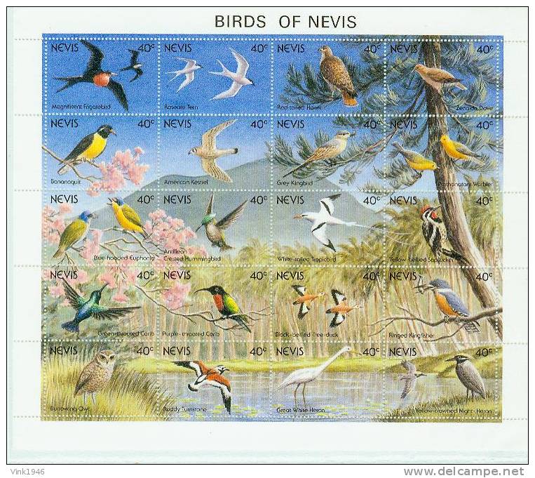 Nevis 1991,20V In Sheetlet,birds,vogels,vögel,oiseaux,pajaros,MNH/postfris ,(L1343) - Andere & Zonder Classificatie