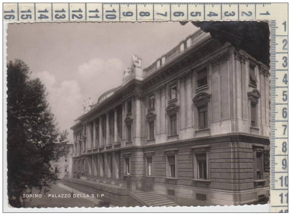 Torino - Palazzo Della Sip. - Vg - 1954 - Targata - - Autres & Non Classés