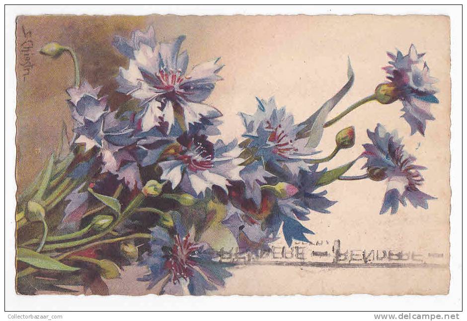 [w963] Italy Postcard Cartoline Illustratta Per Sofia Chiostry Artist Signed - Flowers - Otros & Sin Clasificación