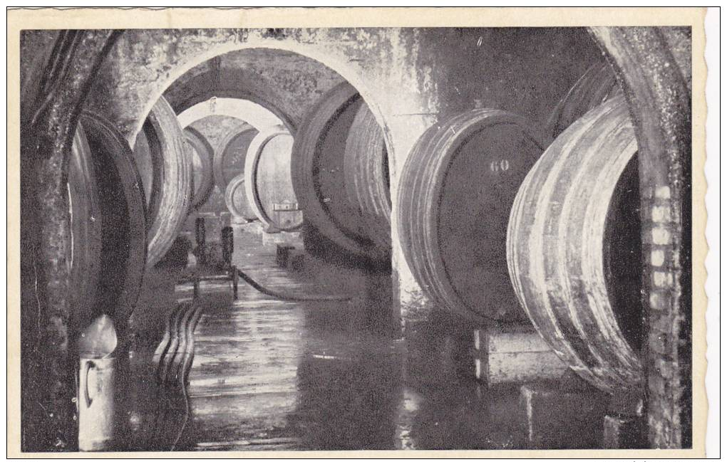 Caves Cooperatives Des Vignerons De Wellenstein S/Moselle, Grand Duche De Luxembourg, 1910-1920s - Autres & Non Classés