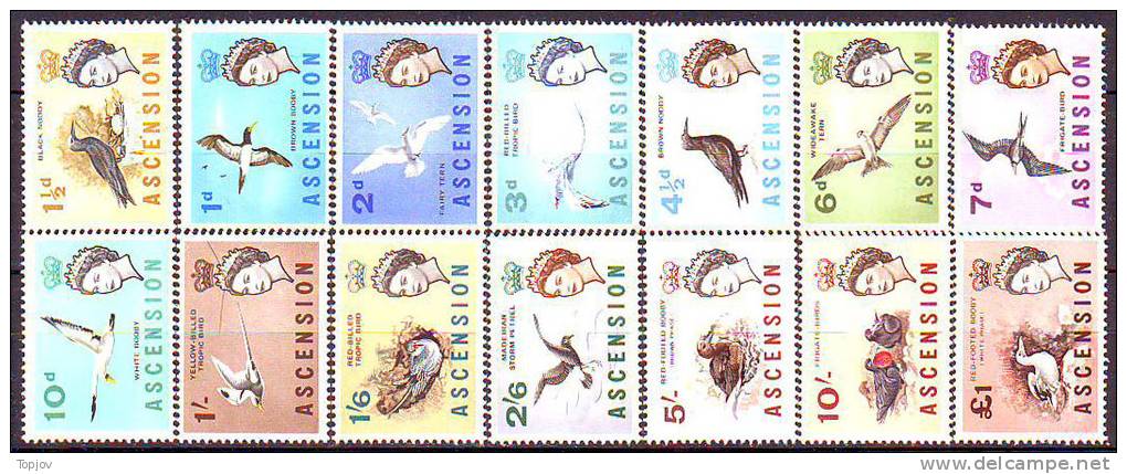 ASCENSION  - BIRDS OISEAUX   -  **MNH - 1963 - Albatros & Stormvogels