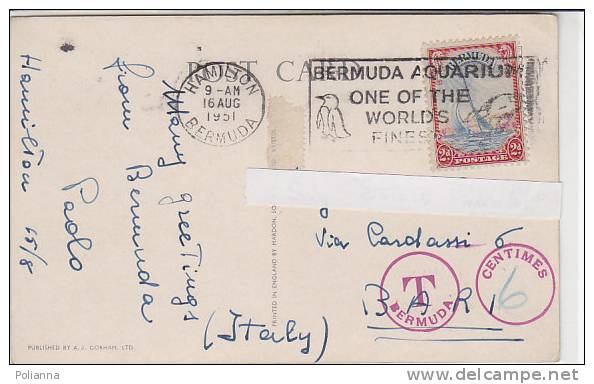 PO0219B# BERMUDA - HAMILTON - DEVIL'S HOLE  VG 1951 - Bermuda