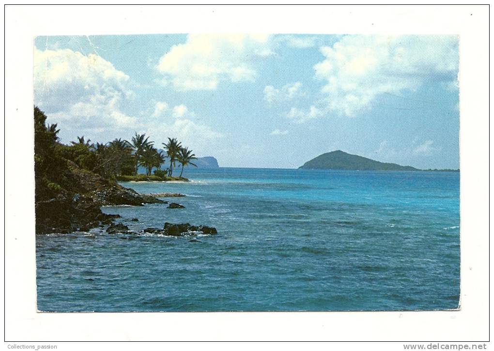 Cp, St-Vincent Et Les Grenadines, Tobago Cays, Petit Bateau In The Background, Mayereau And Union, Voyagée - Autres & Non Classés