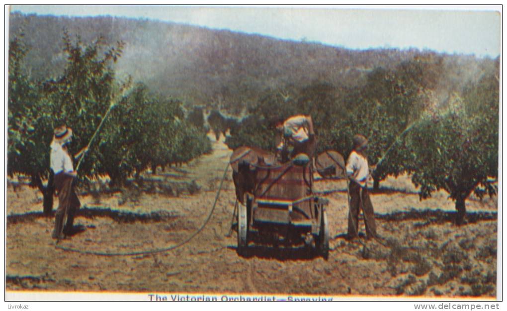 Australie, Australia, The Victorian Orchardist, Spraying, Apples, Verger, Pommes, Traitement Des Arbres, Pommiers - Otros & Sin Clasificación