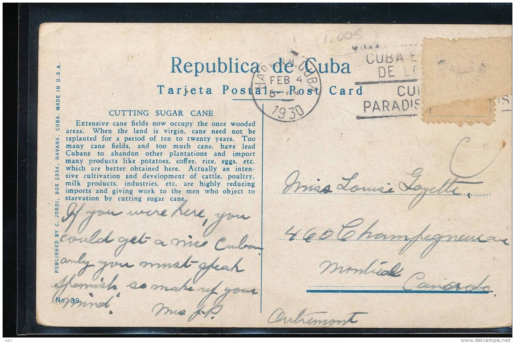 Cuba --- Habana --- Corte De Cana --- Cutting Sugar Cane - Other & Unclassified