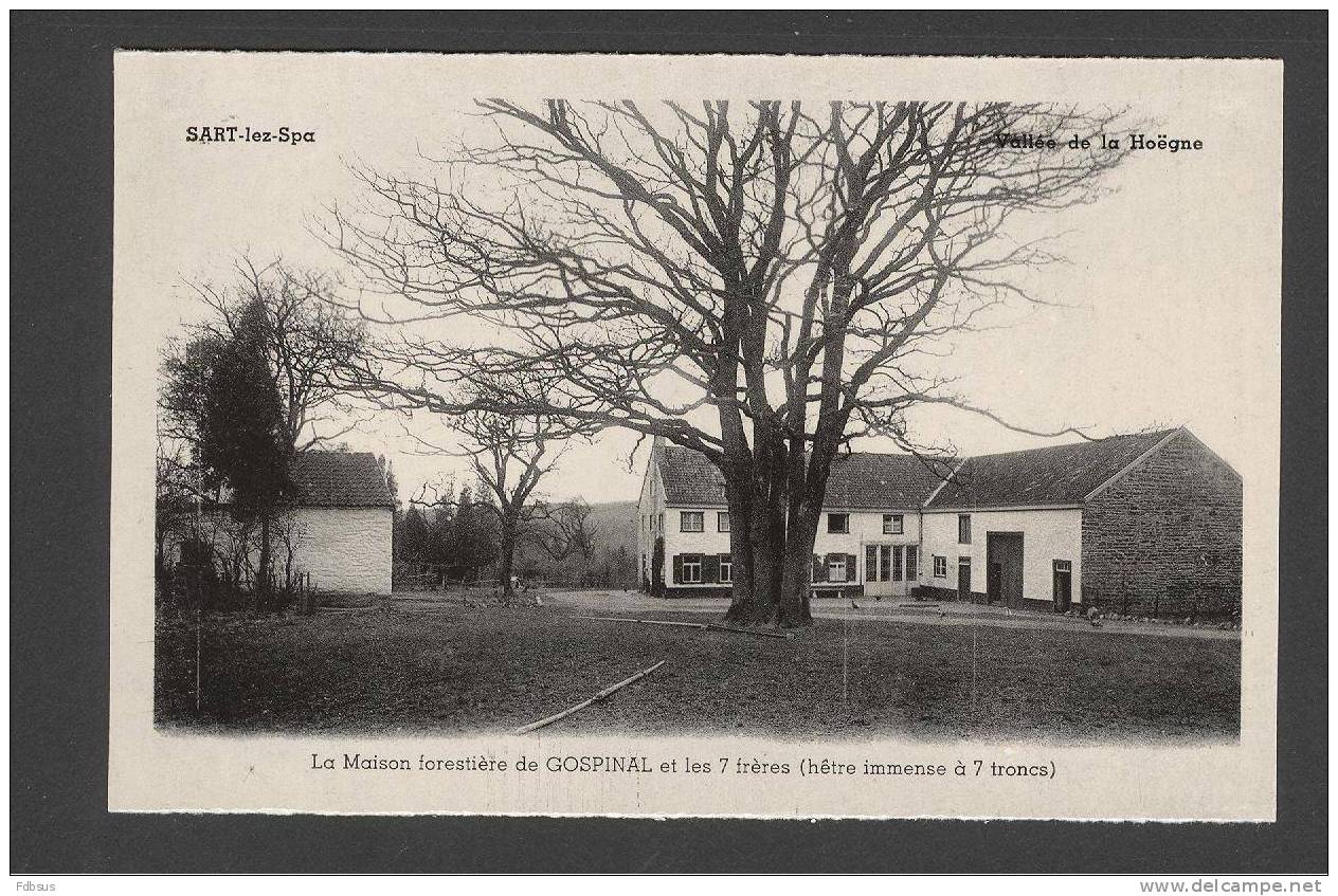 ED. LUMA SART NR 7 - SART LEZ SPA -  MAISON FORESTIERE GOSPINAL ET LES 7 FRERES - Jalhay