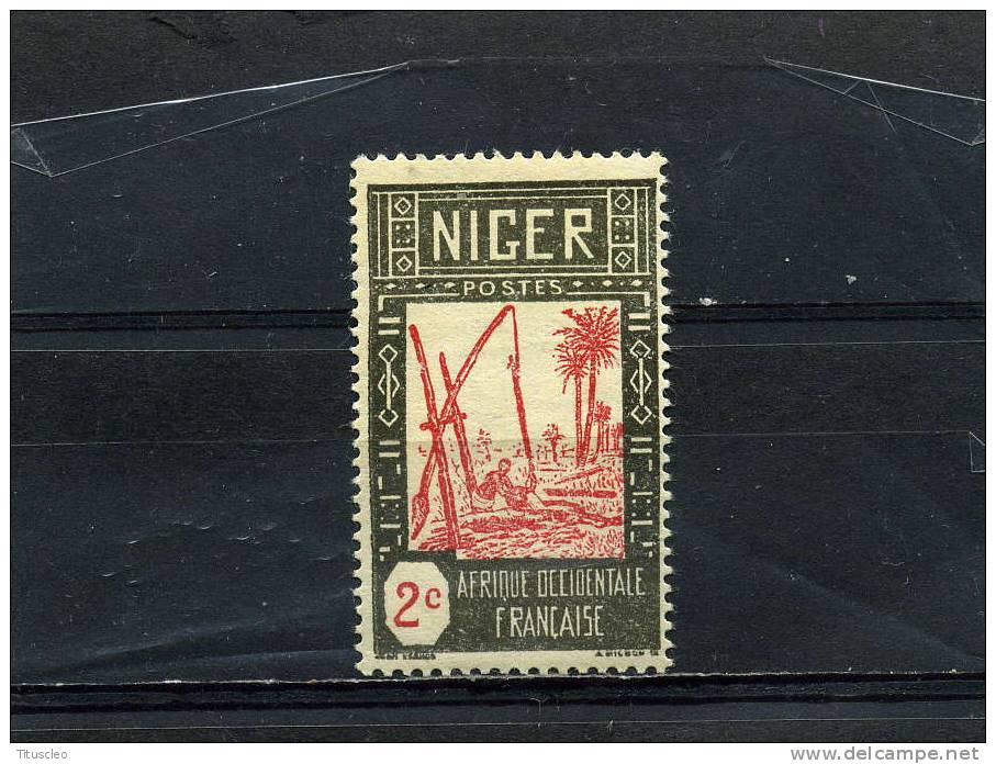 NIGER 30** 2c Gris Et Rouge  Puits - Unused Stamps