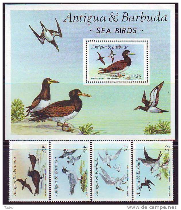 ANTIGUA BARBUDA  - SEA BIRDS  - 1990 - **MNH - Albatros & Stormvogels