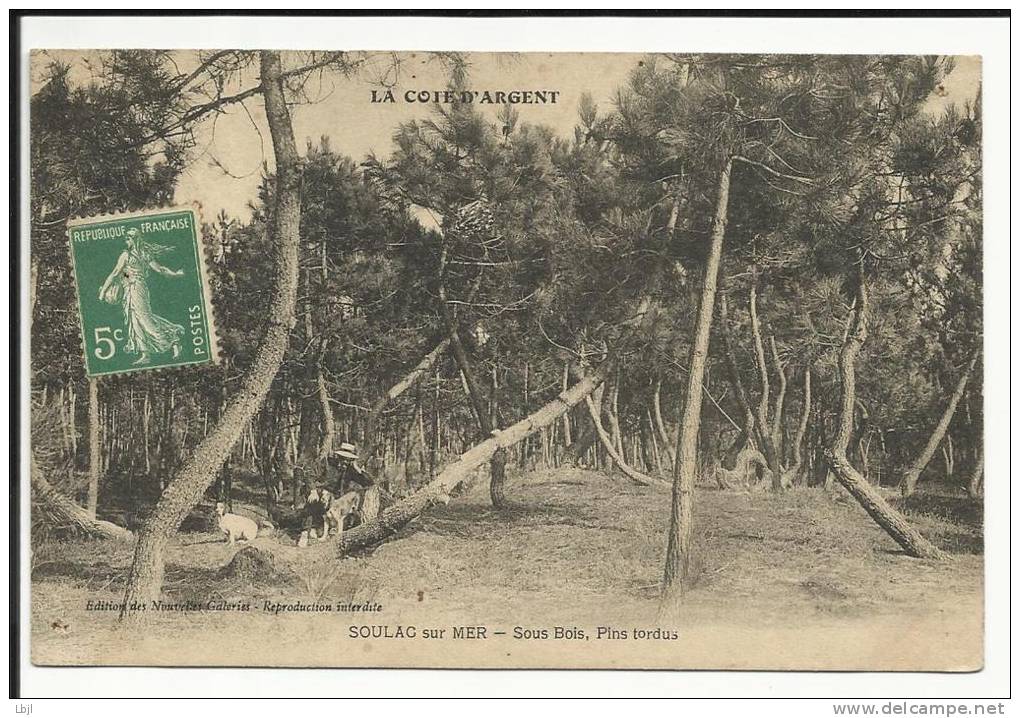 SOULAC SUR MER , Sous Bois , Pins Tordus , CPA ANIMEE 1908 - Soulac-sur-Mer