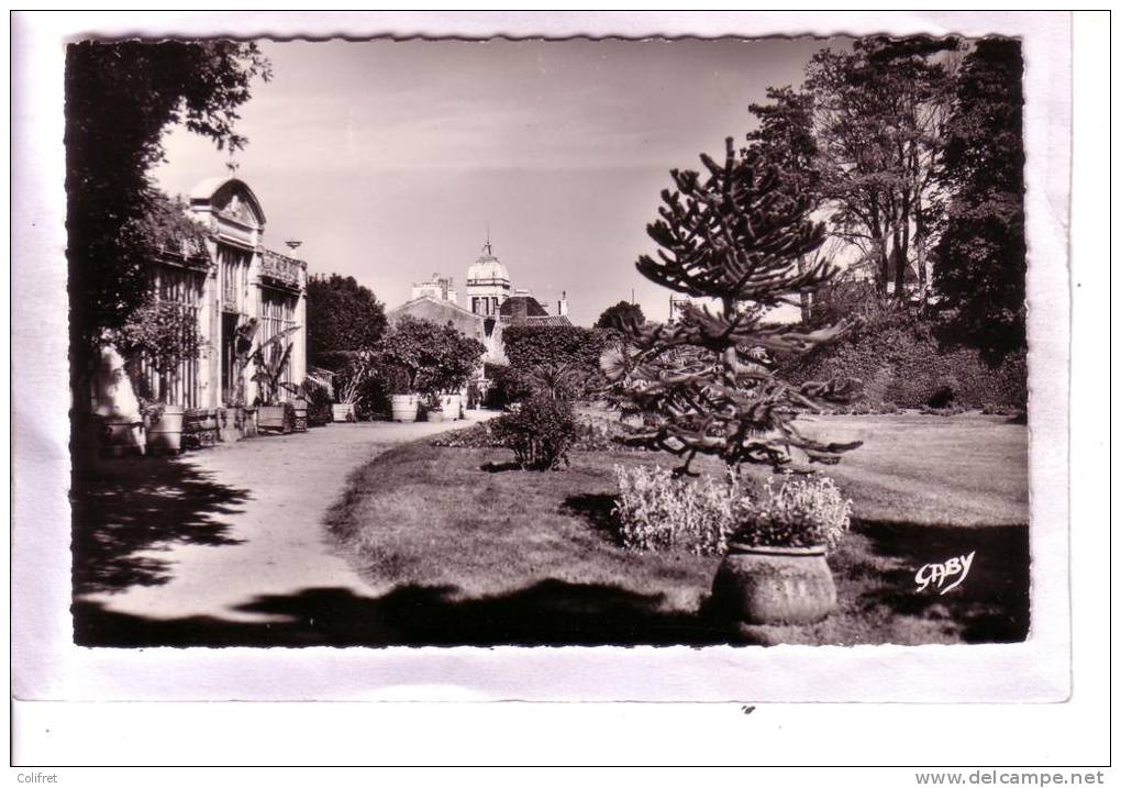 85 - Luçon         Le Jardin Public, La Serre - Lucon