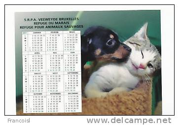 Calendrier De La Société Royale Protectrice Des Animaux Veeweyde Bruxelles Refuge Du Marais. Chiot Et Chaton - Petit Format : 1991-00