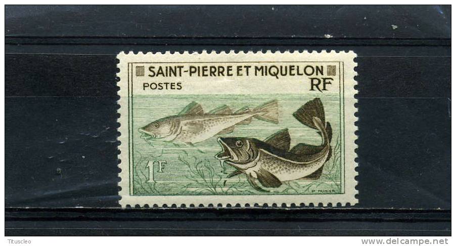 SAINT PIERRE ET MIQUELON 354** 1f Vert Et Sépia Morues - Neufs