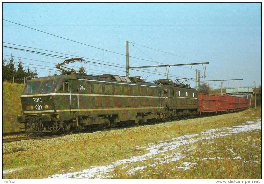 HAREN (BELGIQUE) Loco électrique 2014 Et 2905 Le 12 Février 1982 - Treinen