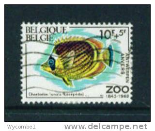 BELGIUM  -  1969/70  Used Commemorative As Scan  FU - Used Stamps