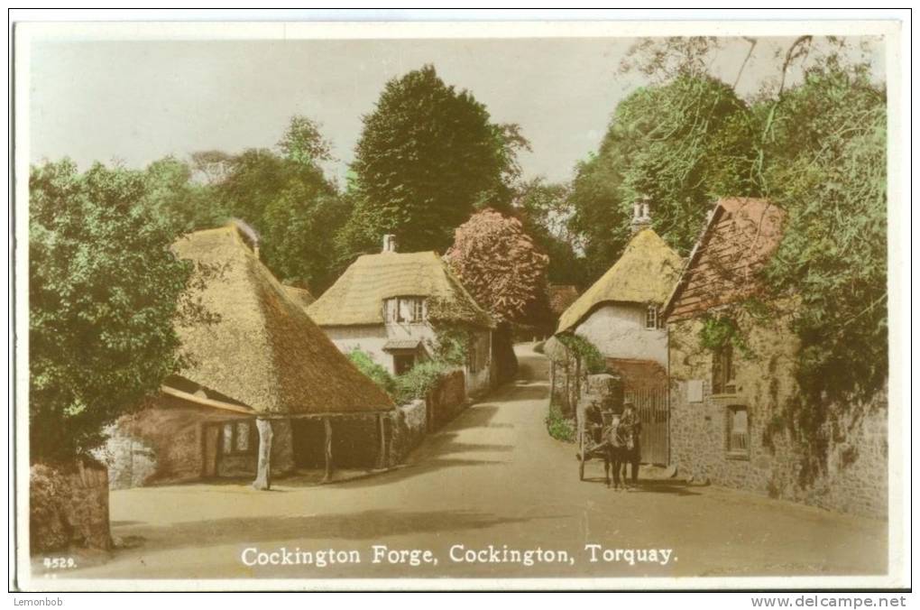 UK, United Kingdom, Cockington Forge, Torquay, Early 1900s Unused Topographic Real Photo Postcard [P7770] - Torquay