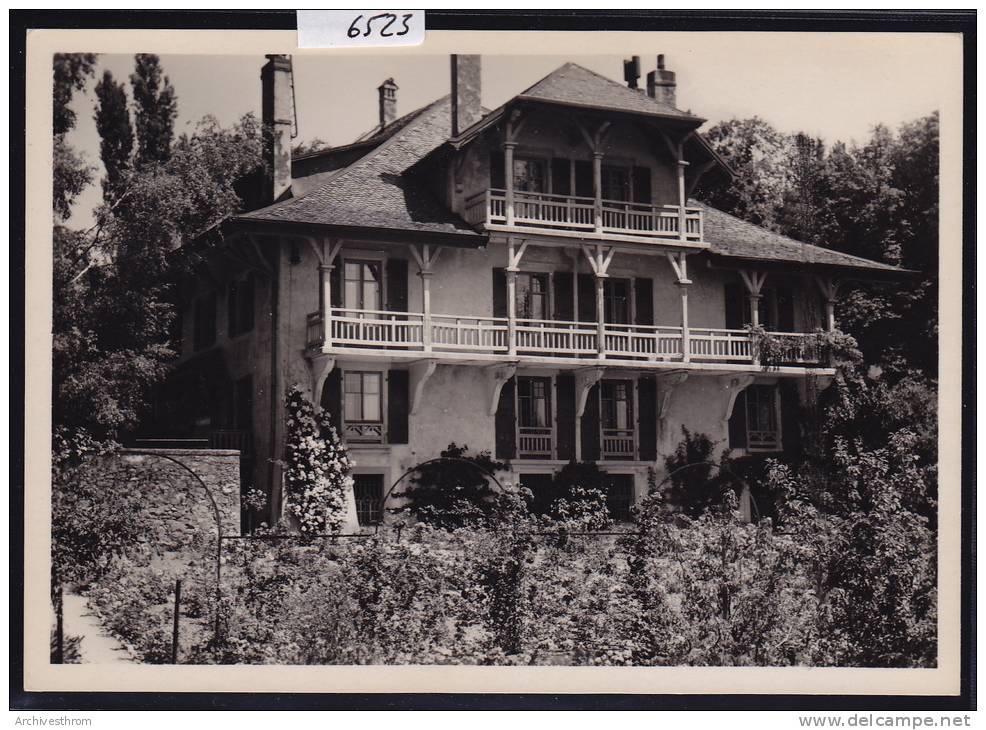 Châtel Par Essertines Sur Rolle : Les Charmilles ; Grand Format 10 / 15  (6523) - Essertines-sur-Rolle