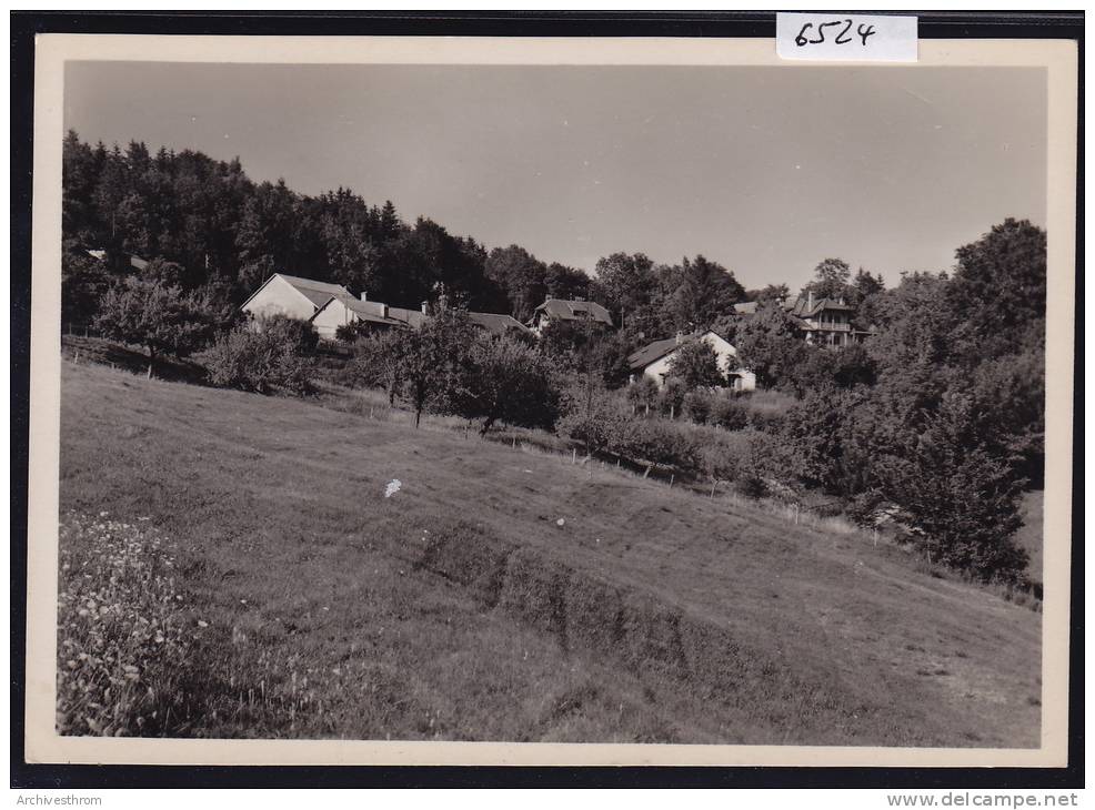 Châtel Par Essertines Sur Rolle ; Grand Format 10 / 15 (6524) - Essertines-sur-Rolle