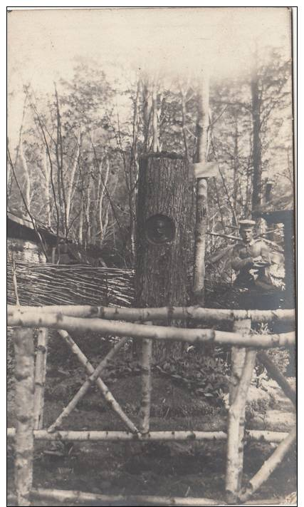 SOLDAT ALLEMAND-IM WALDLAGER-BUSTE DE HINDENBURG EN MEDAILLON DANS UN ARBRE -CARTE PHOTO - War 1914-18