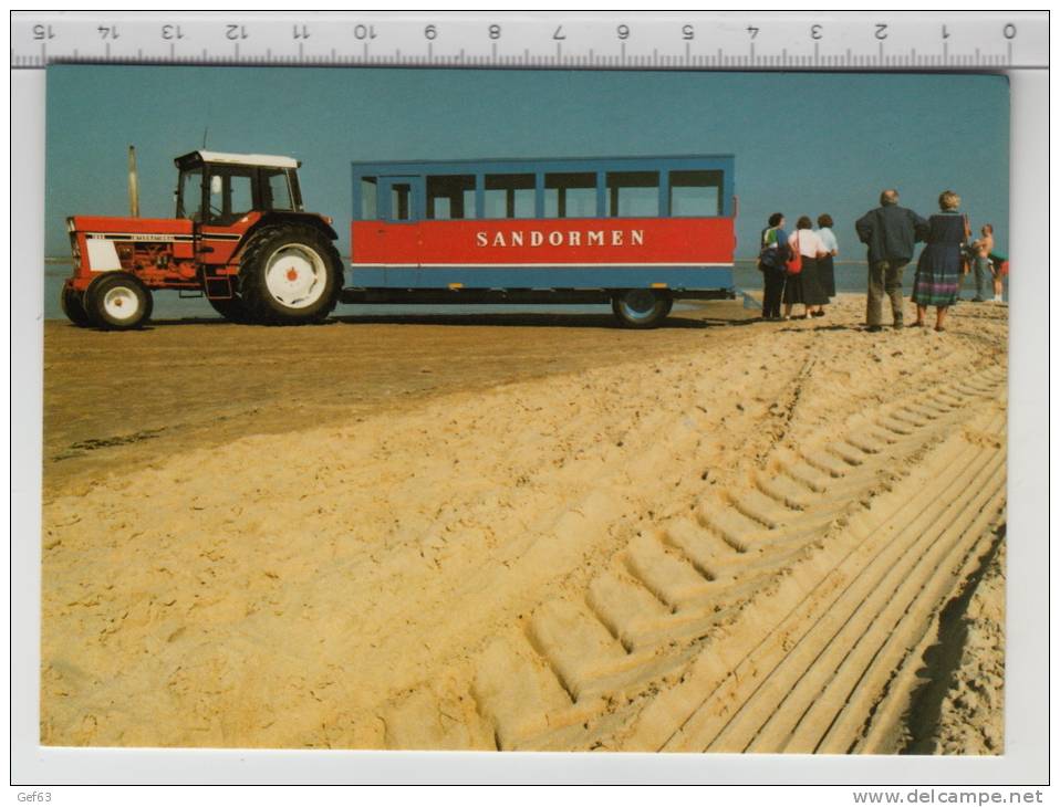 Skagen - Sandormen Pa Gremens Yderste Spids - Danemark