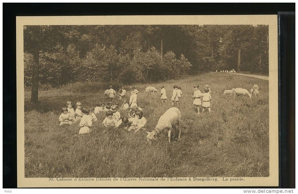 PHOTO POSTCARD ENFANTS DONGELBERG  BELGIUM BELGIQUE CARTE POSTALE - Jodoigne