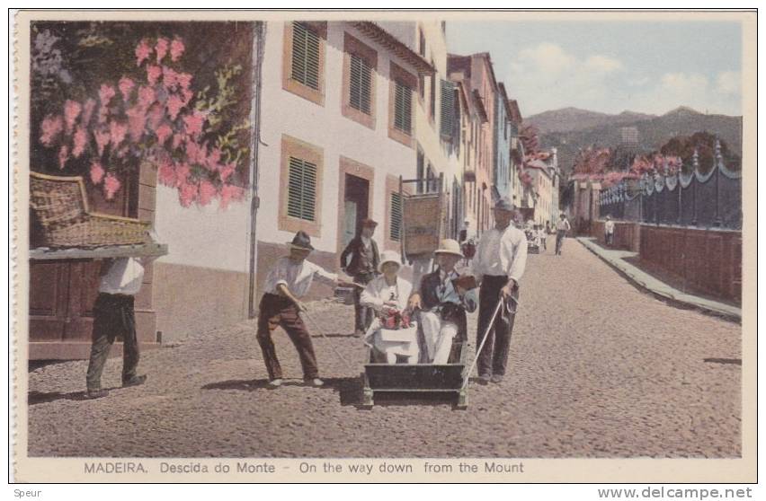 Madeira - Lively Street Scene, ± 1930 - Madeira