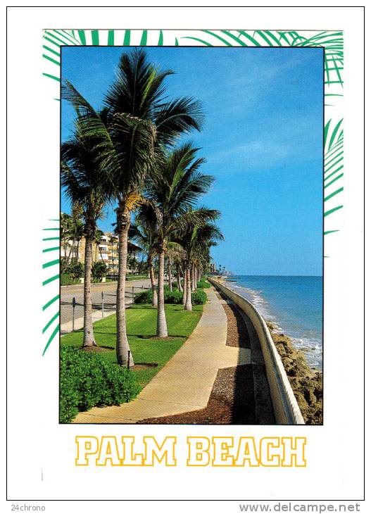 Etats Unis: Beautiful Palm Beach, Florida, Photo Joel Mittelberg (11-2131) - Palm Beach