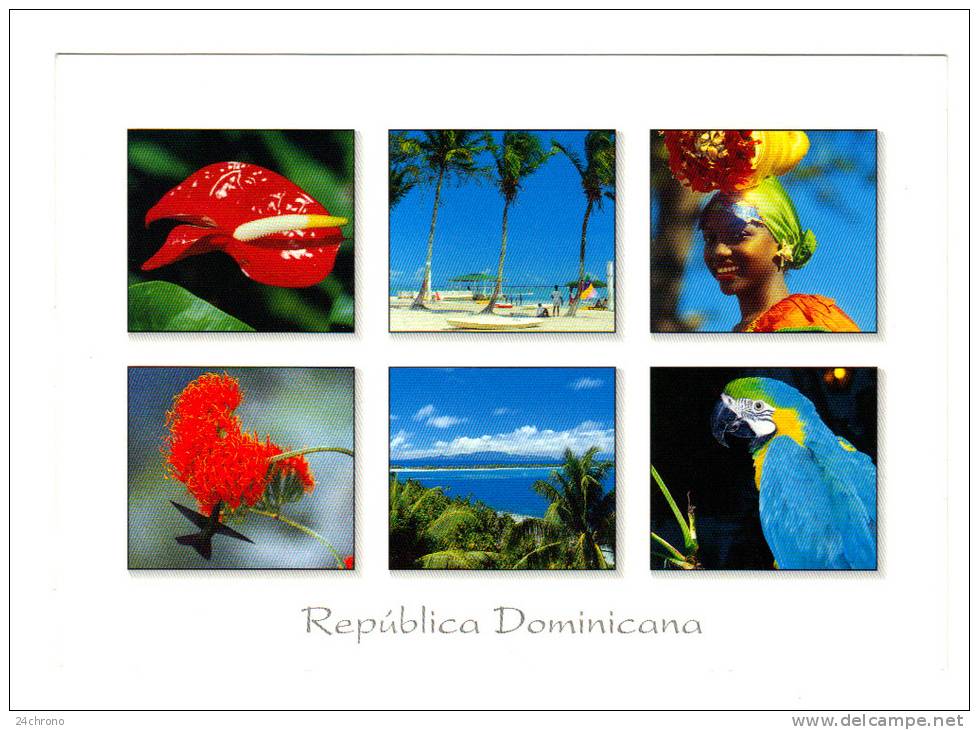 Antilles Republique Dominicaine: Arum, Perroquet, Photo By Caribe Line (11-2138) - Dominicaine (République)