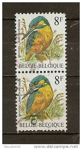 - Belgie  GESTEMPELD   OBC.  NR°  2240   Catw.  0.20   Euro - 1985-.. Oiseaux (Buzin)