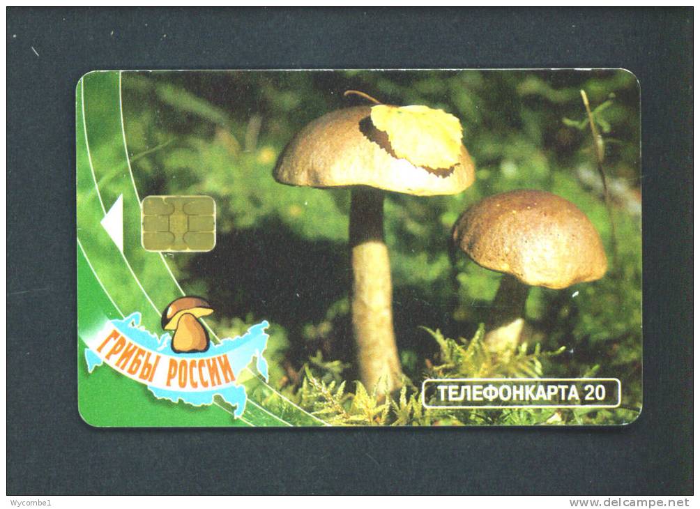 RUSSIA  -  Chip Phonecard As Scan - Russia