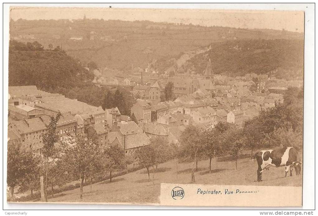 CPSM VUE  PANORAMAMIQUE PEPINSTER BELGIQUE - Pepinster