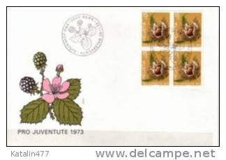 Switzerland,1973. Pro Juventute, Flowers,Fruits,  In 4-er Block,  FDC - Lettres & Documents