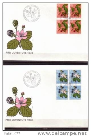 Switzerland,1973. Pro Juventute, Flowers,Fruits,  In 4-er Block,  FDC - Lettres & Documents