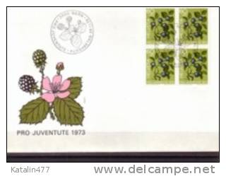 Switzerland,1973. Pro Juventute, Flowers,Fruits,  In 4-er Block,  FDC - Lettres & Documents