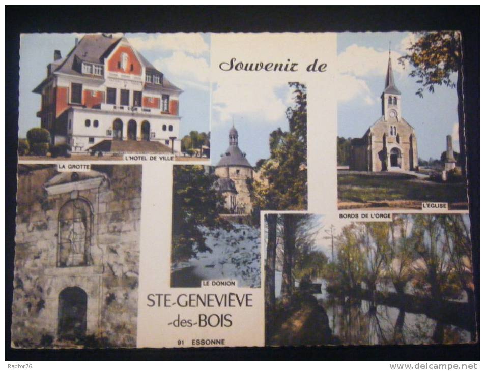 CPSM  Souvenir De SAINTE GENEVIEVE DES BOIS  Multi-vues - Sainte Genevieve Des Bois