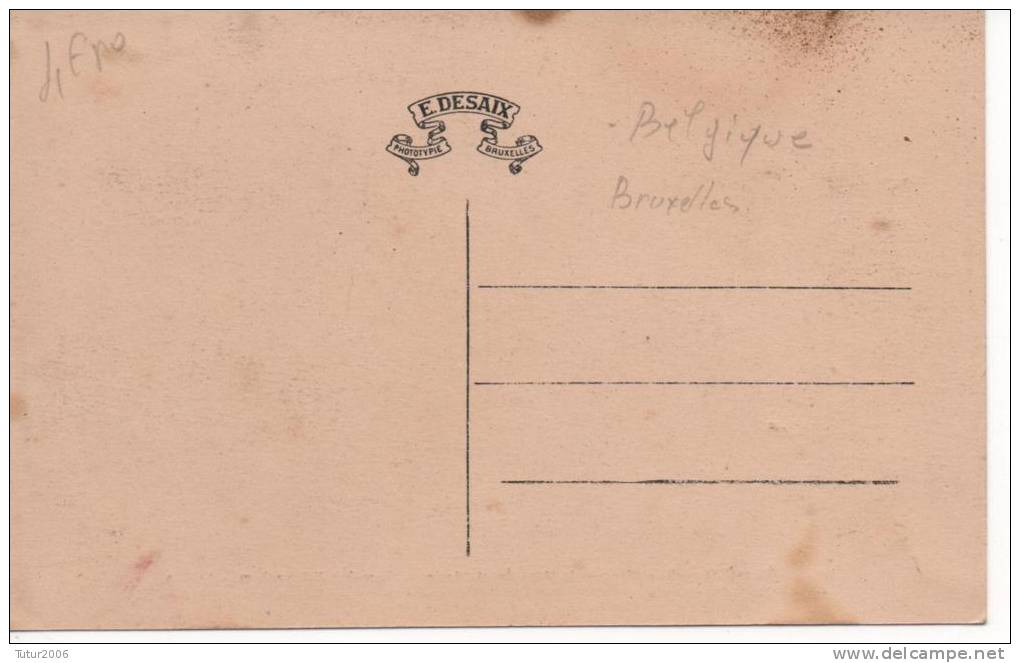 Belgique - Laeken - Institut Normal Supérieur D"Economie Ménagère Agricole-Domaine D' Hosseghem - Vue Dans Le Parc - Enseignement, Ecoles Et Universités