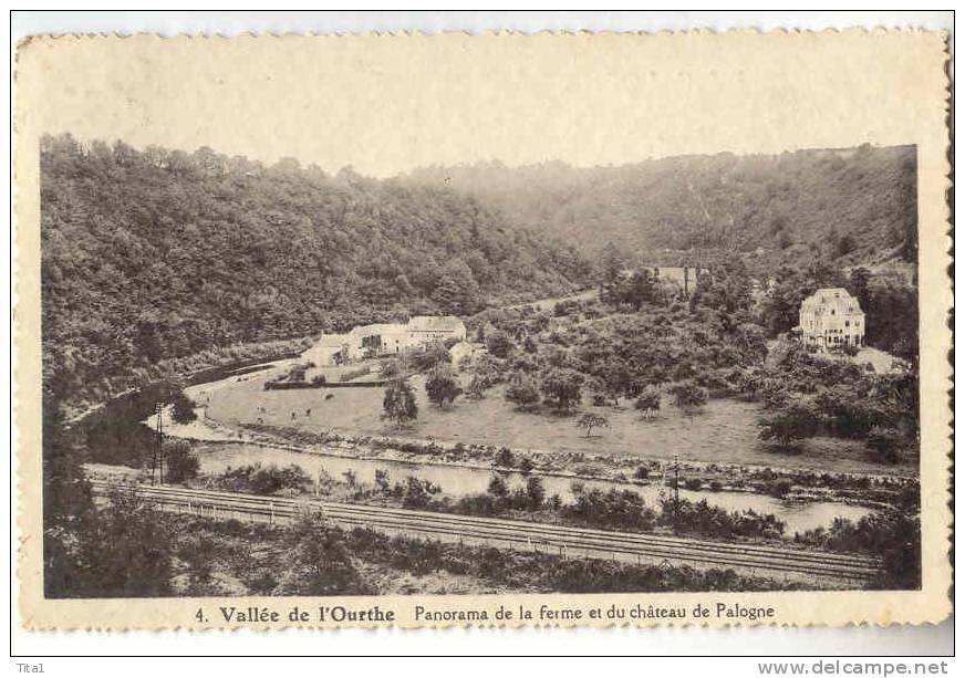 D8755 - Vallée De L' Ourthe - Panorama De La Ferme Et Du Château De Palogne - Ferrières