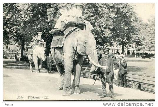 N°15283 - Cpa éléphants - Éléphants