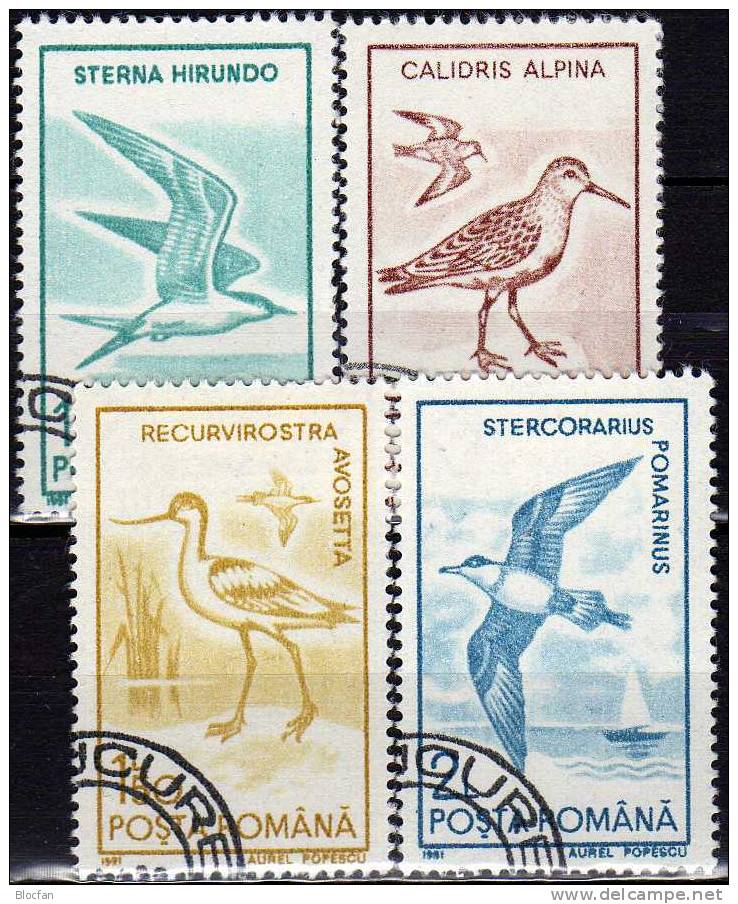 WWF Vögel 1991 Rumänien 4642/51+10x4-Block O 5€ Möwe Schwalbe Schnäbler Mittelsäger Kiebitz Reiher Schnepfe Strandläufer - Nature