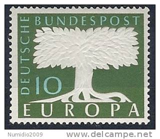 1957 EUROPA GERMANIA SENZA FILIGRANA 10 P MH * - 1957