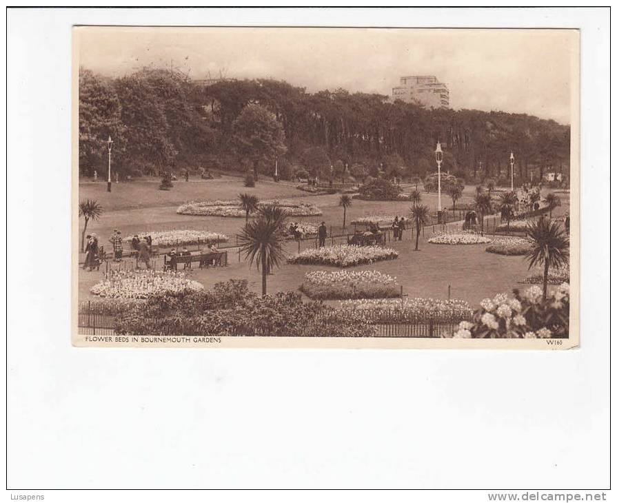 OLD FOREIGN 6479 - UNITED KINGDOM - FLOWER BEDS IN BOURNEMOUTH GARDENS - Bournemouth (until 1972)