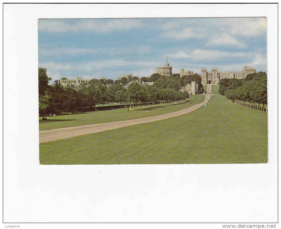 OLD FOREIGN 6538 - UNITED KINGDOM - THE LONG WALK , WINDSOR - Windsor